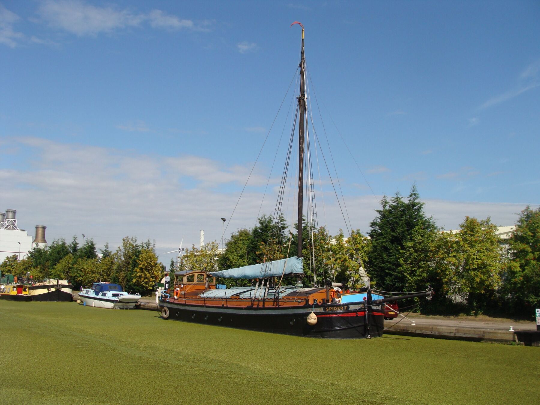 DSC02173.JPG