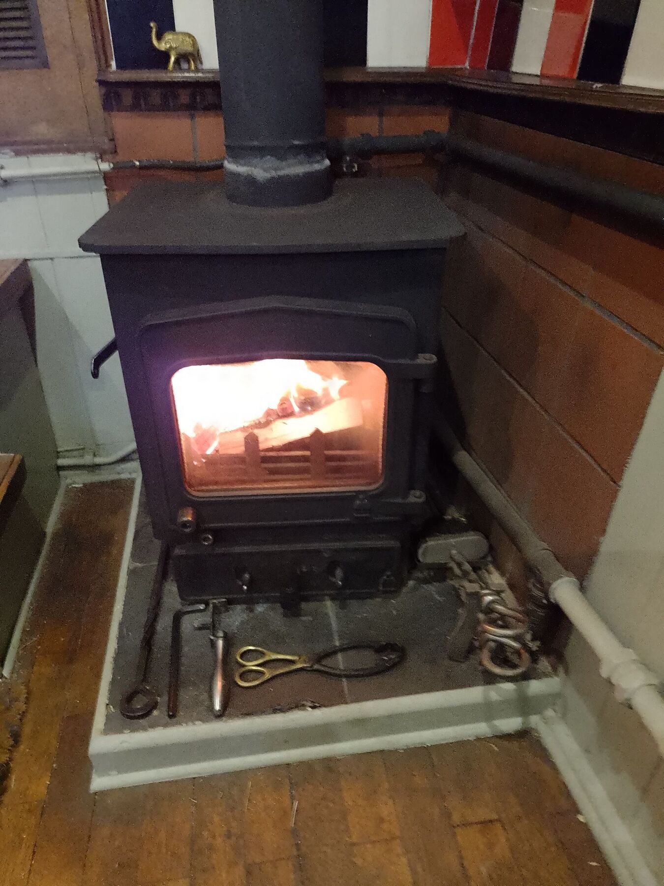 Woodwarm fireview 4.5kw.jpg