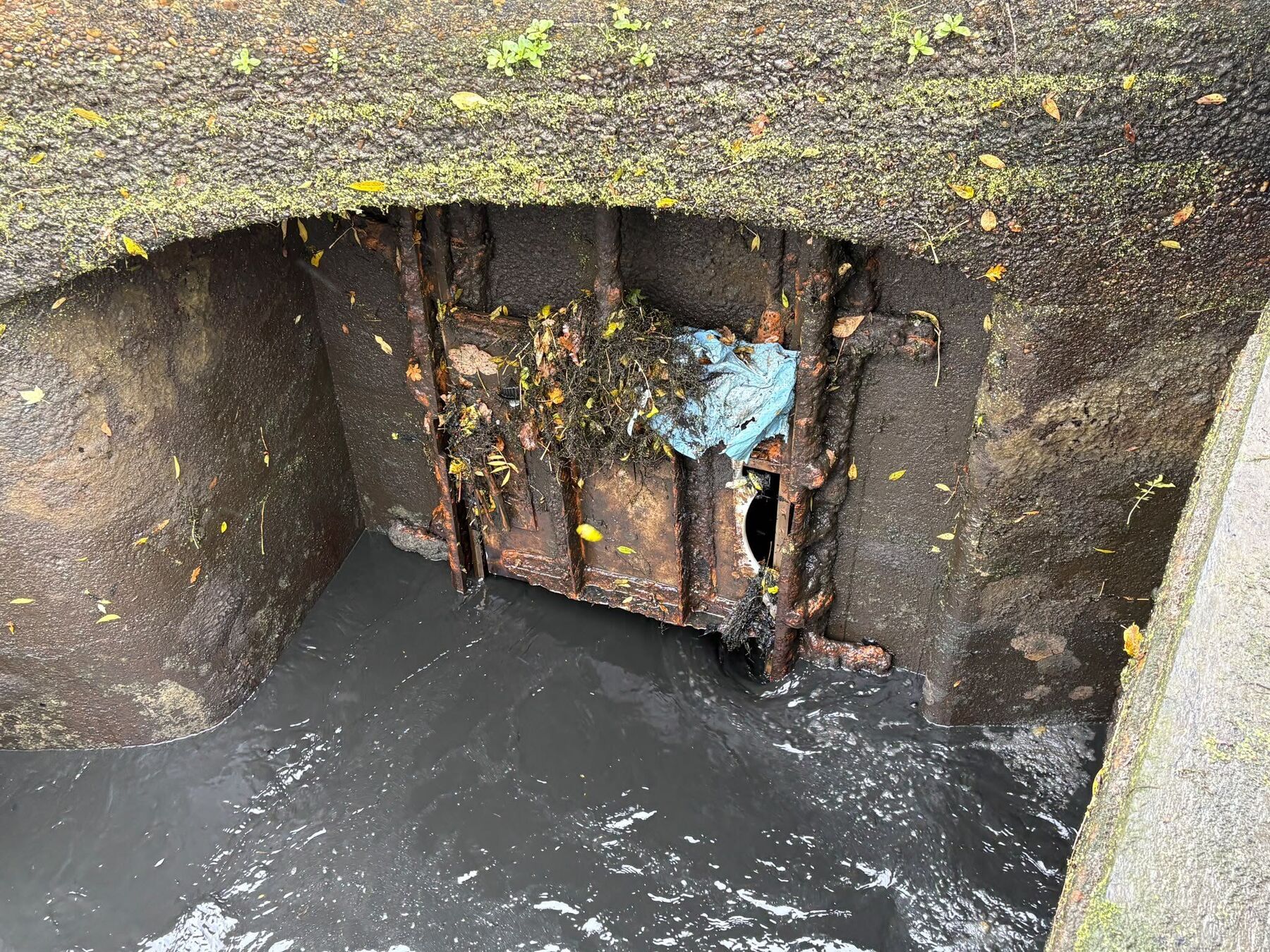 Knowle Lock shut - General Boating - Canal World