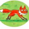Emerald Fox