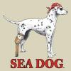 Sea Dog